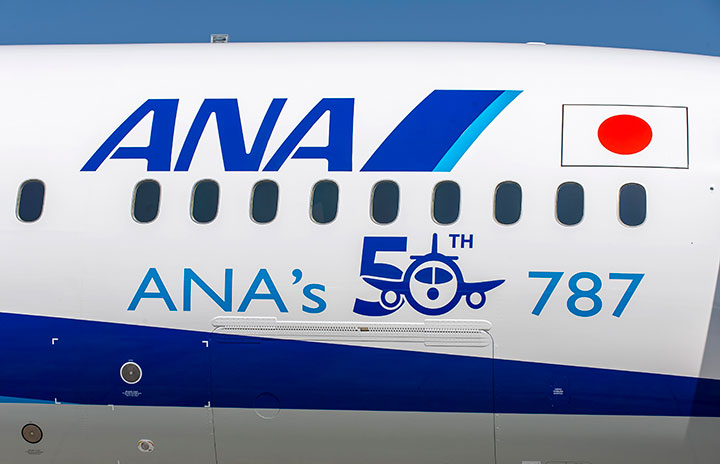 ANA ボーイング787初号機特別塗装 スケール1 500 - 航空機