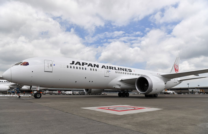 JAL、羽田発着ハワイ気分チャーター第2弾 機内食付き3時間フライト