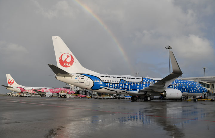 JAL、沖縄「しまくとぅば」でアナウンス 県内8空港