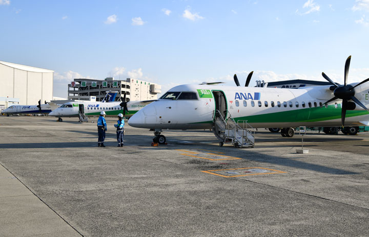 最後に残った緑のANA機 写真特集・さよならエコボン