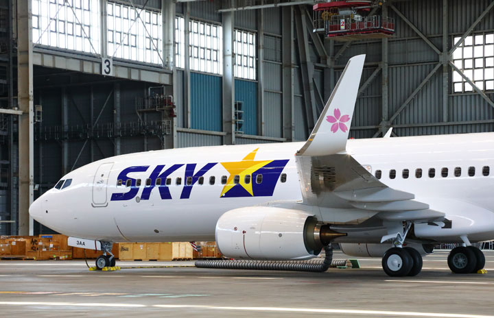 日本らしさサクラで表現 写真特集 スカイマーク新737 800