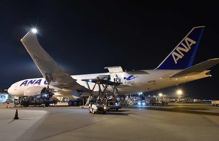 ANAカーゴ、777F就航 日本初導入、大型貨物も輸送可に