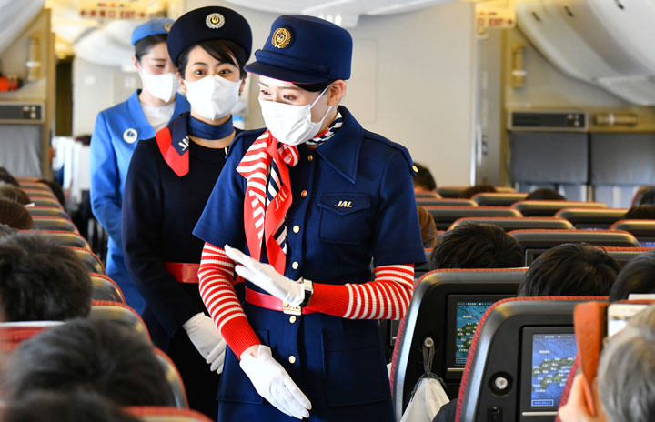 JAL CA 日本航空 客室乗務員制服 スカーフ スチュワーデス キャビン-