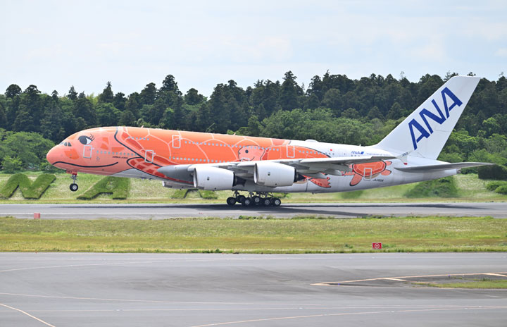 ANA、A380 3号機10/20就航 日本到着2年で初の商業運航へ
