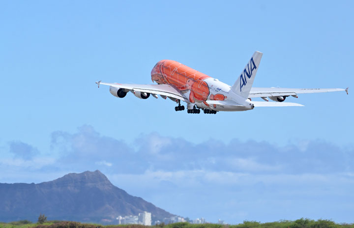 ANA、A380でホノルル往復7.6万円タイムセール ピーチポイント