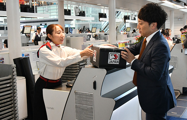  羽田空港第3ターミナルのJALチェックインカウンターで和牛の預け入れをデモ披露するJALのスタッフ（左）＝24年10月7日 PHOTO: Yusuke KOHASE/Aviation Wire